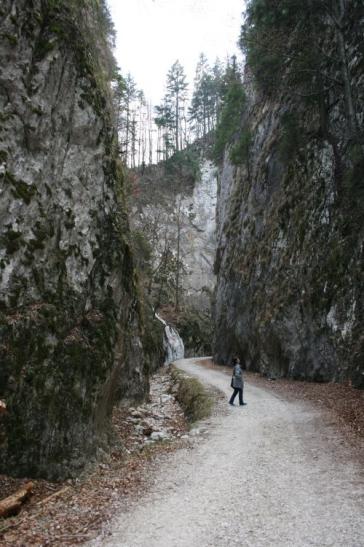 Urlaub in Rumänien: Klettern bei Zărnești